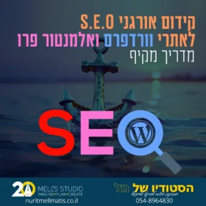 קידום אורגני עם וורדפרס ואלמנטור פרו מדריך חשוב ביותר לבוני אתרים