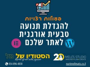 פעולות חשובות ורצויות להגדלת תנועה אורגנית באתר שלך